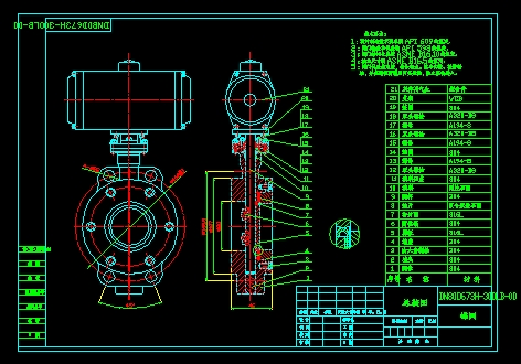 DN80D673Hһ300LBһ00 CADbD