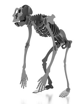 `Lƴbģ3DD INVENTOR STP