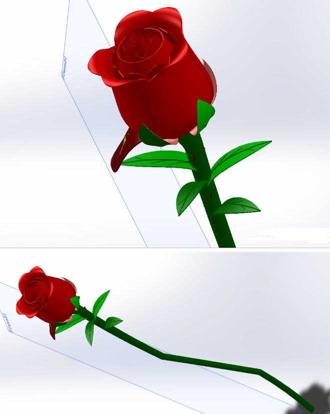 һֻRoseõ廨3D(sh)ģD SolidworksO(sh)Ӌ(j)