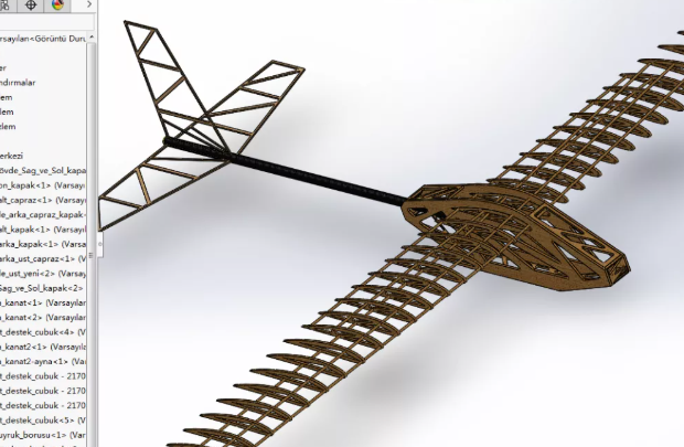 Model Balsa PlaneģwнY3DģD SolidworksOӋ