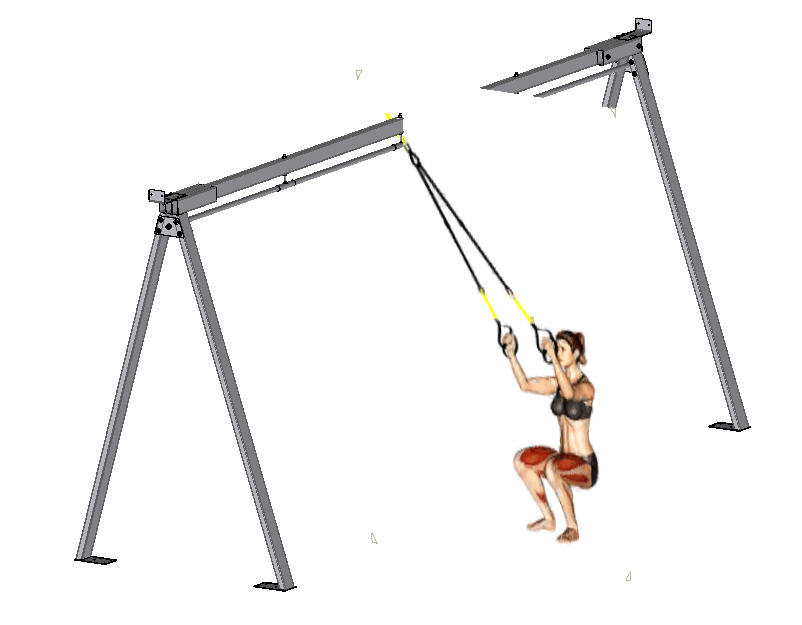 6׽T3DģD STEP igsʽ