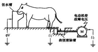 ʣ(dng)o(h)r(nng)еđ(yng)  Sw