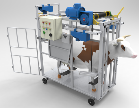 ţԄ(dng)̎C(j)3DD IGSʽ