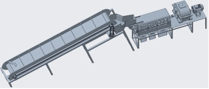 fruit sorting machineˮ֒CˮxC3DD STPʽ